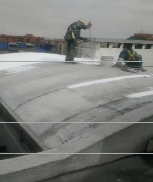 Conjunto Residencial Ventura - Detalle de proceso 4