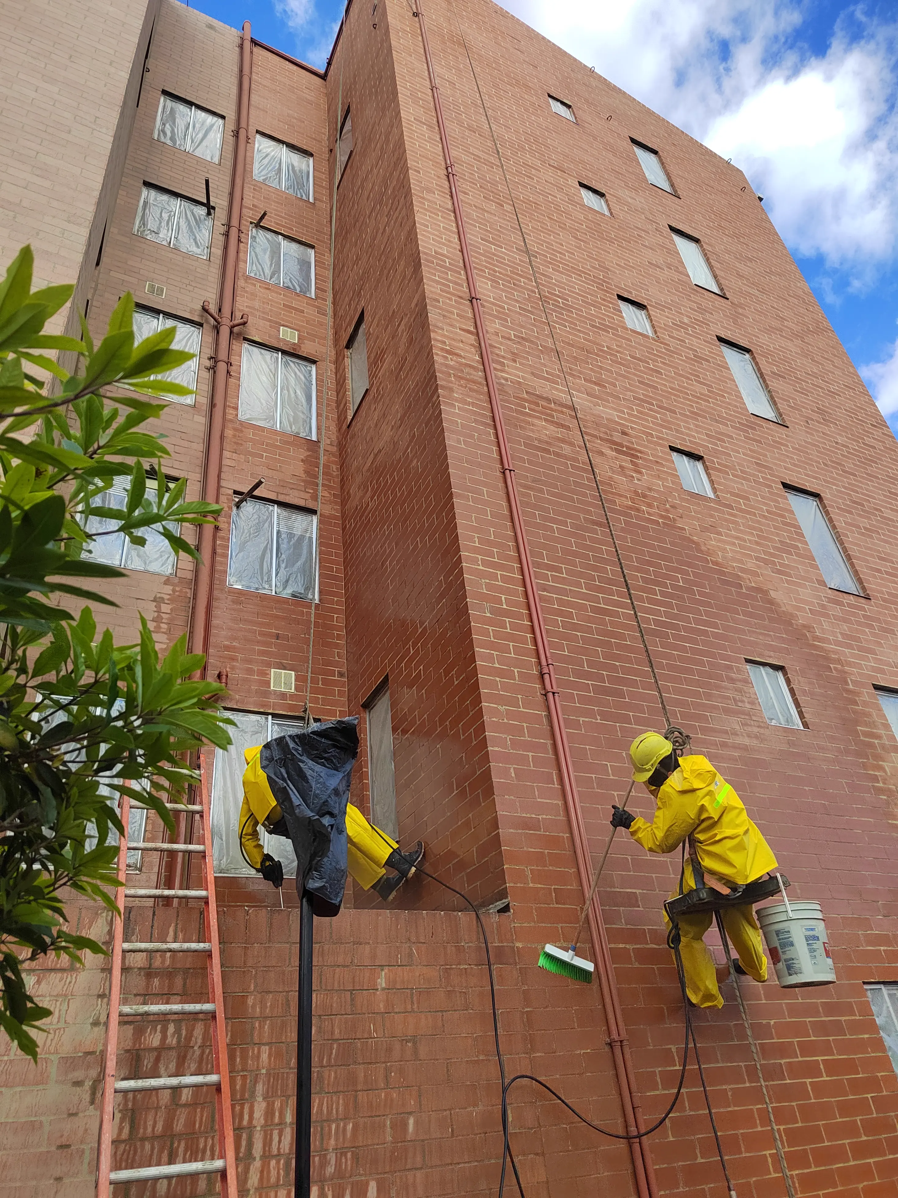 Portal de Granada II - Detalle de proceso 29